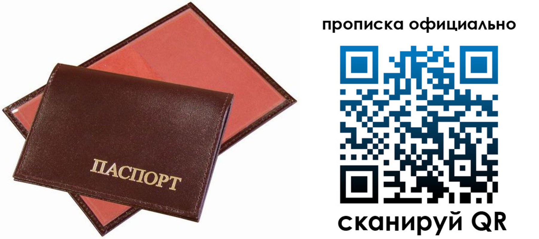 временная регистрация гарантия в Камышине